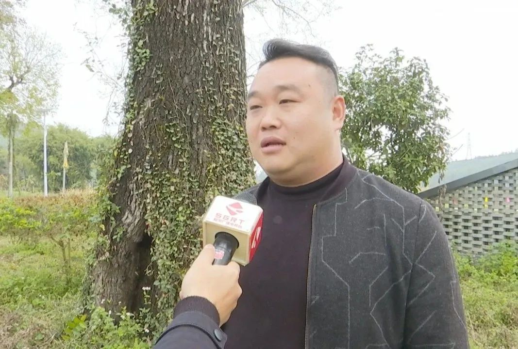 DƬ